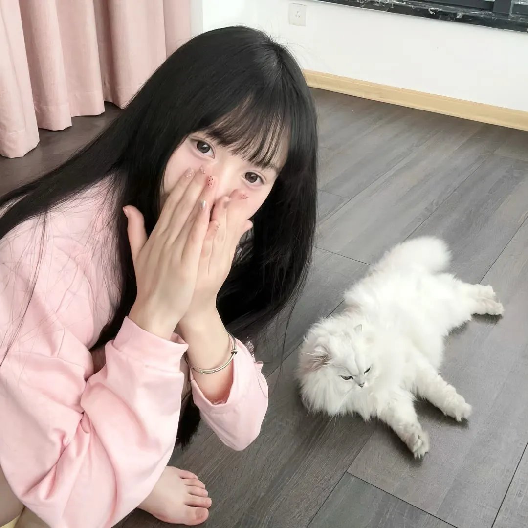 宝剑飞龙