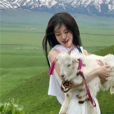 我的珍宝